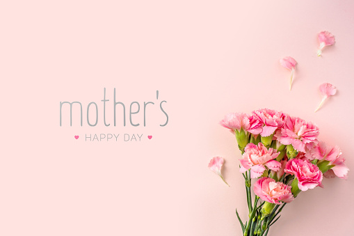 event design concept - top view of a bunch of pink carnation with greeting word on pink background for mothers day event with copy space for mock up