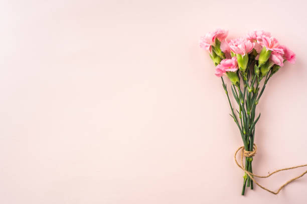 istock top view of carnation on pink background 1142538762