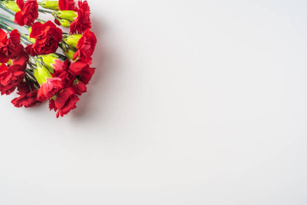 istock top view of carnation on white for mothers day 1142540855