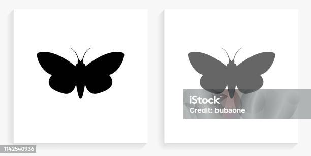 Moth Black And White Square Icon Stock Illustration - Download Image Now - Moth, Icon Symbol, Animal