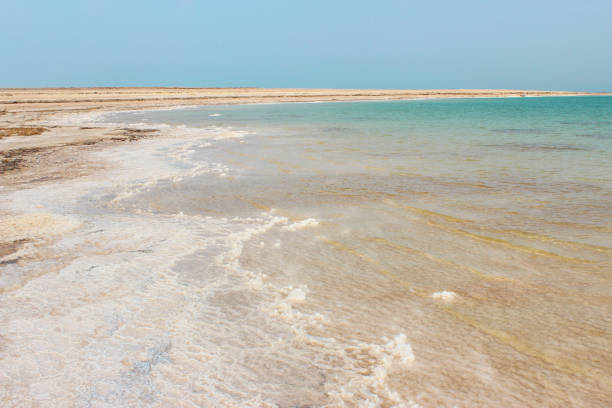 istock Coast of the Dead Sea 1142544613