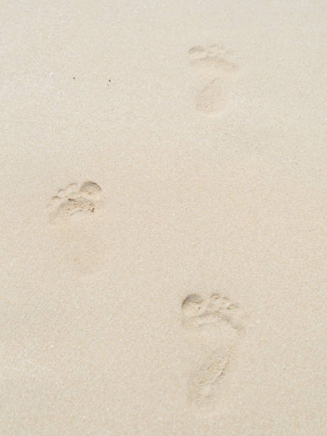 istock foot print on the sand beach 1142546151