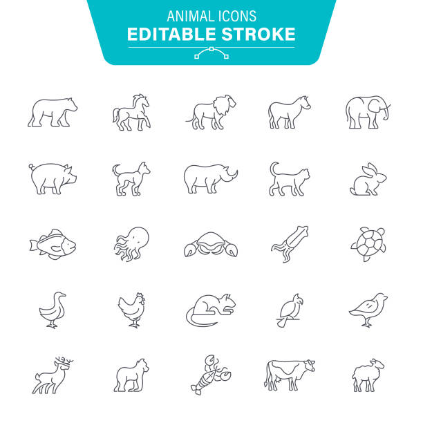 Animal Icons Polar Bear, Monkey, Gorilla, Animal, Seafood, Editable Stroke Icon Set cow clipart stock illustrations