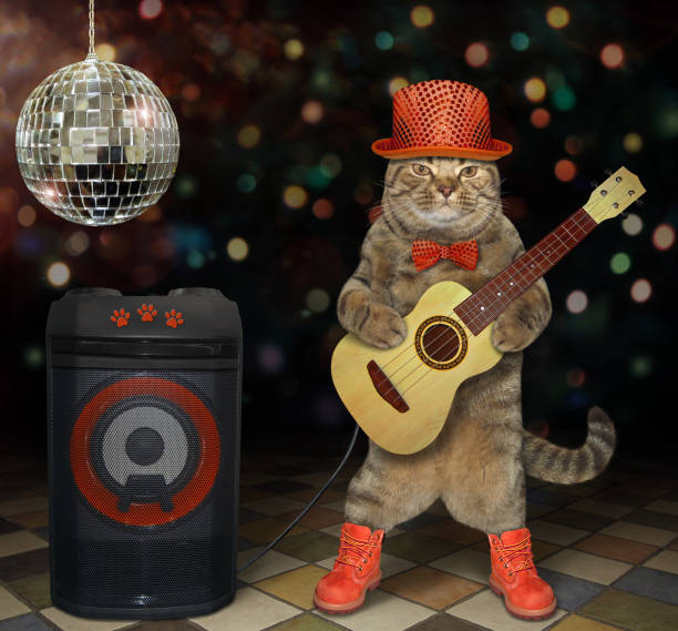 istock Cat plays the guitar near the speaker 2 1142550077