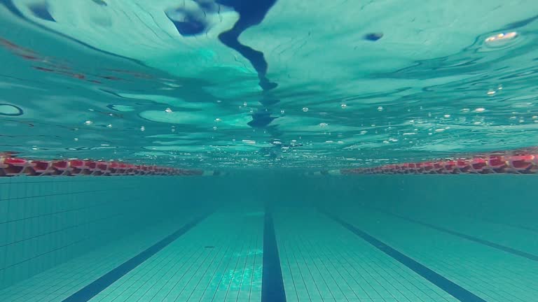 Children in the Olympic pool