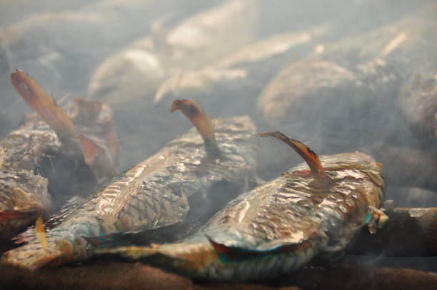 istock Fish of a coral reef fried on the grill. Java in Indonesia. 1142554190