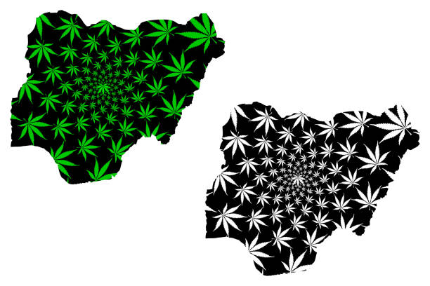 nigérie - mapa je navržena konopný list - kano stock ilustrace