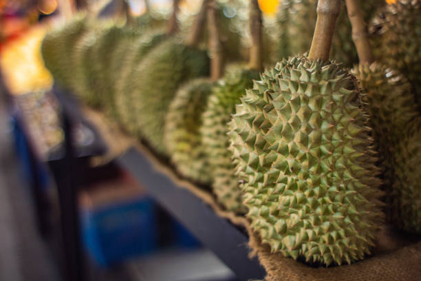 istock Durian in Thailand 1142554706
