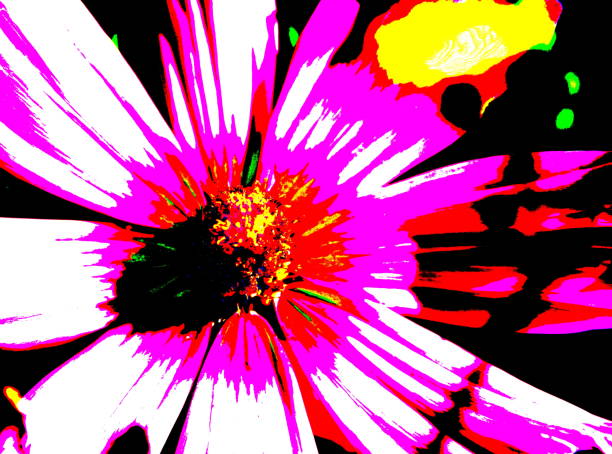 istock Flower named 