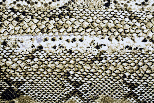 istock Material in animal skin patterns, a background 1142555956