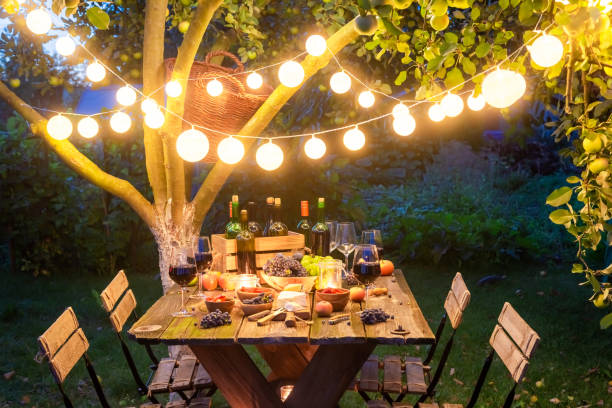 istock Preparation for supper with appetizers and wine in the evening 1142555986
