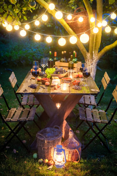 istock Preparation for supper with cheese, red wine in illuminated garden 1142556124