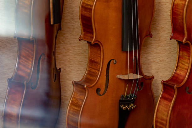istock Violin detail close up instrument 1142565492