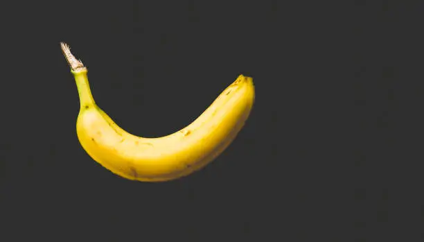 Yellow curved shaped banana on black background