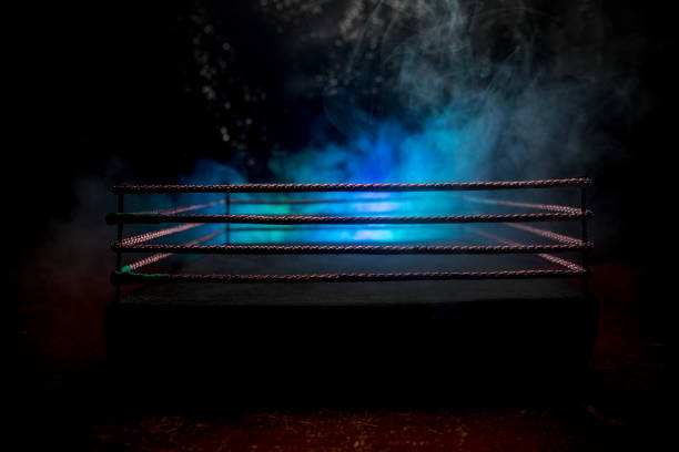 istock Empty boxing ring with red ropes for match in the stadium arena. Creative artwork decoration 1142574931