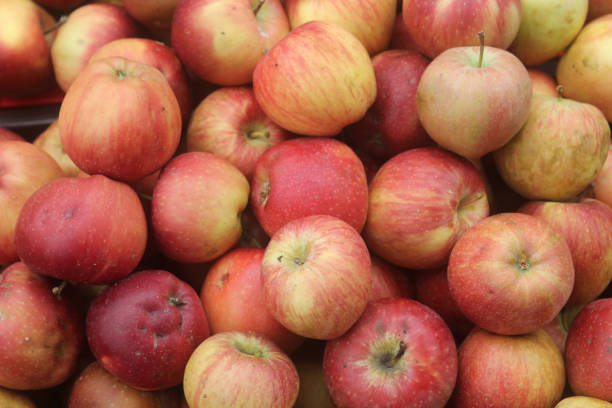 istock Big pile of red apples 1142577038
