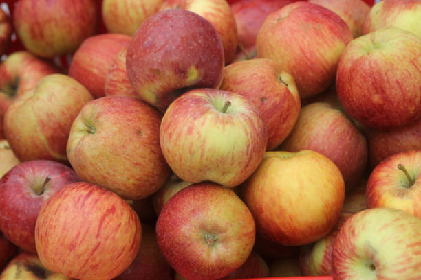 istock Big pile of red apples 1142578045