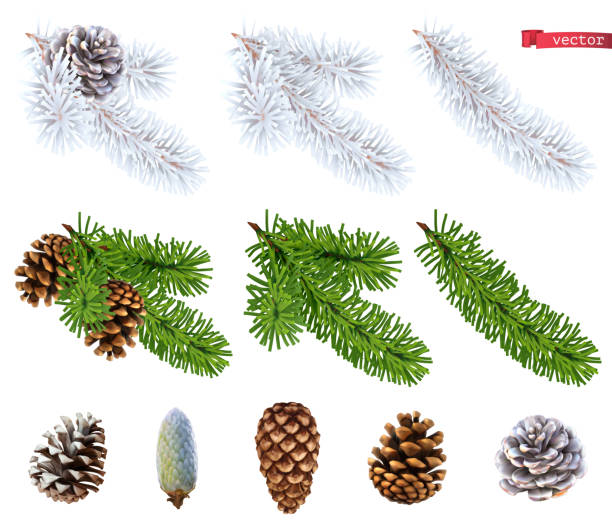 Christmas trees and pine cones. 3d realistic vector icon set Christmas trees and pine cones. 3d realistic vector icon set pinecone stock illustrations