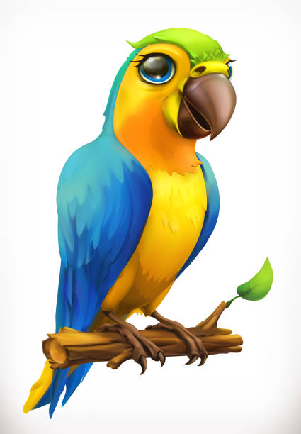 14,602 Parrot Cartoon Stock Photos, Pictures & Royalty-Free Images - iStock  | Funny parrot
