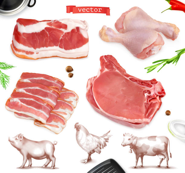 żywność mięsna. wołowina, wieprzowina, nogi z kurczaka. realistyczny zestaw wektorów 3d - steak meat raw beef stock illustrations