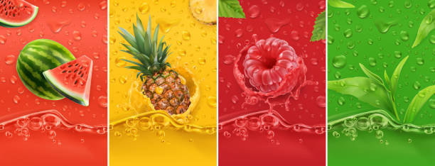 soczyste i świeże owoce. arbuz, ananas, malina, herbata. rosa spada i pluskać. realistyczny zestaw wektorów 3d. wysokiej jakości 50mb eps - splashing juice liquid red stock illustrations