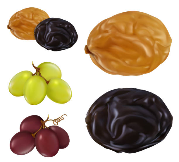 Raisin, dried grape. 3d realistic vector icon set Raisin, dried grape. 3d realistic vector icon set raisin stock illustrations