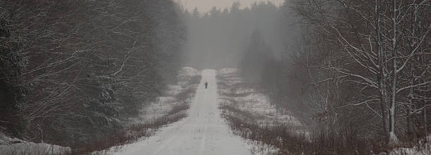istock Ground road crossing forest panorama in snowfall 114258102