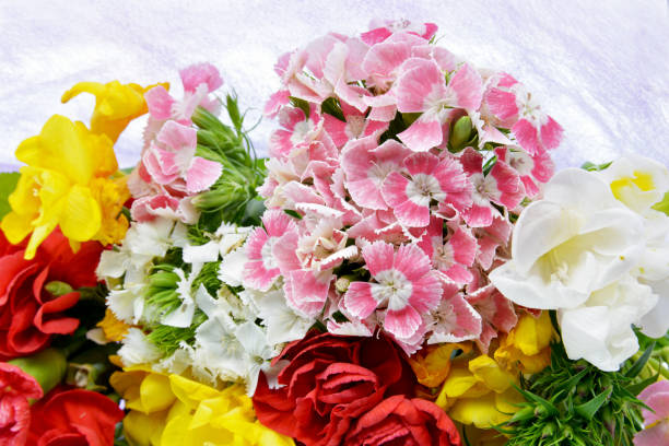 bouquet of flowers on background