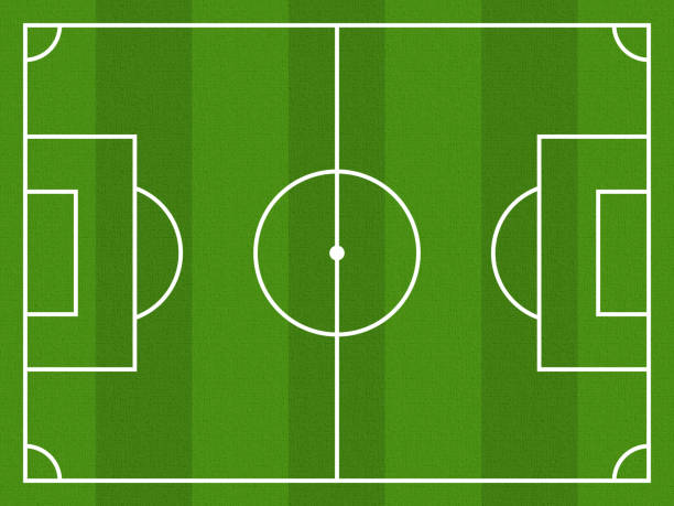 boisko do piłki nożnej realistyczna tekstura zielonego trawnika. piłka nożna tło - pole stock illustrations