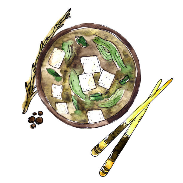 ilustraciones, imágenes clip art, dibujos animados e iconos de stock de plato de acuarela sopa de miso - bamboo brown cooking gourmet