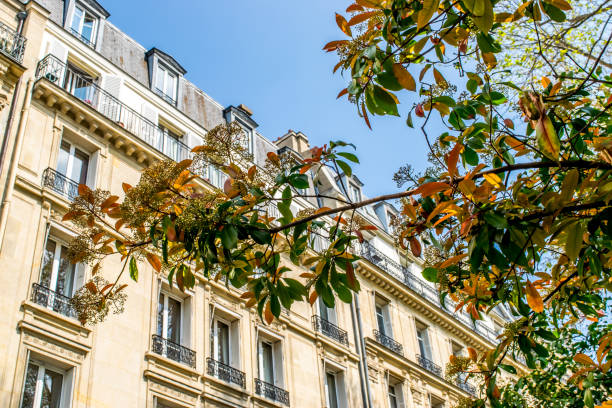 istock Old apartments in Paris 1142586370