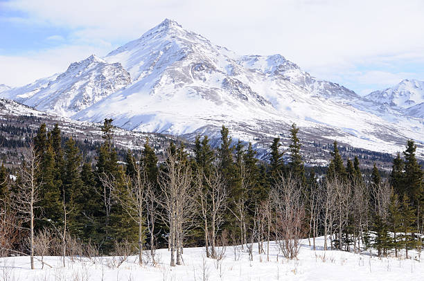 Cordilheira do Alaska Peak na primavera - foto de acervo