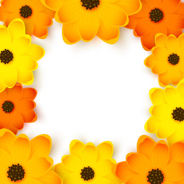 istock Orange and yellow flowers frame for Your summer design 1142588808