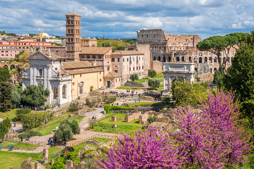 The Roman Forum during spring season in a sunny day. Rome, Italy.