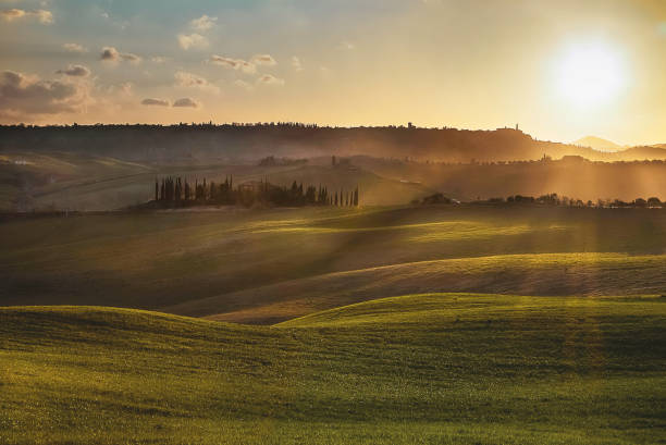 istock Painting in Tuscany 1142592281