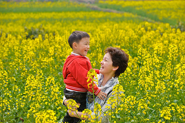 istock asian mother son Laughing in rape flowers 114259365