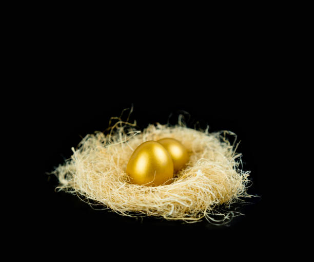 istock Golden eggs with straw on black background. 1142595341