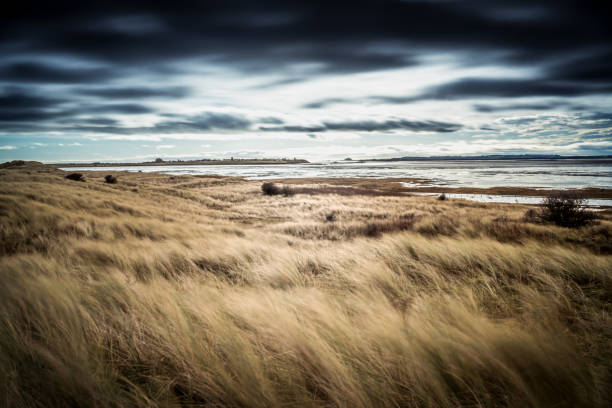 der snook der heiligen insel lindisfarne - northumberland england lindisfarne northeastern england england stock-fotos und bilder