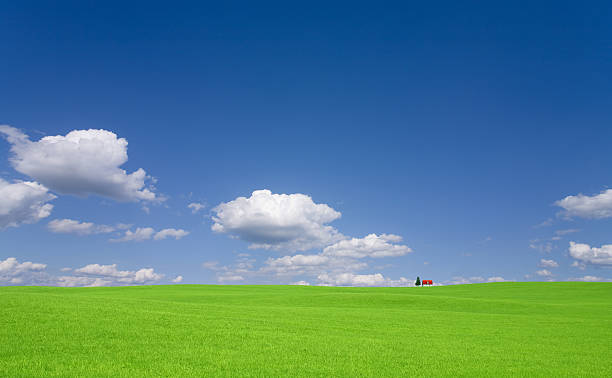 istock Green hill and red roof house 114260952