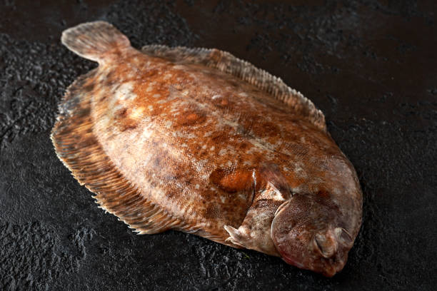 istock Raw lemon sole fish on black background, top view 1142610395