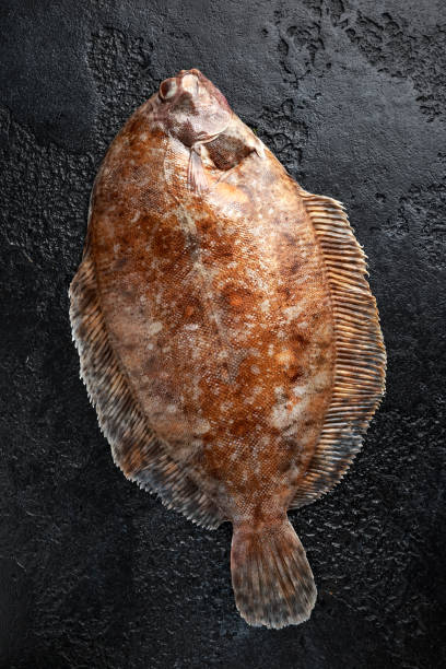 istock Raw lemon sole fish on black background, top view 1142610438