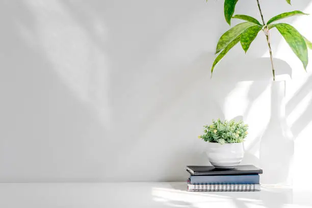 Photo of Mockup stack of book and houseplant on white wooden table, copy space for product display or montage.