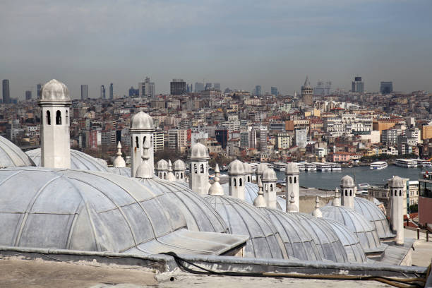 istock Istanbul panorama and mosques 1142617446