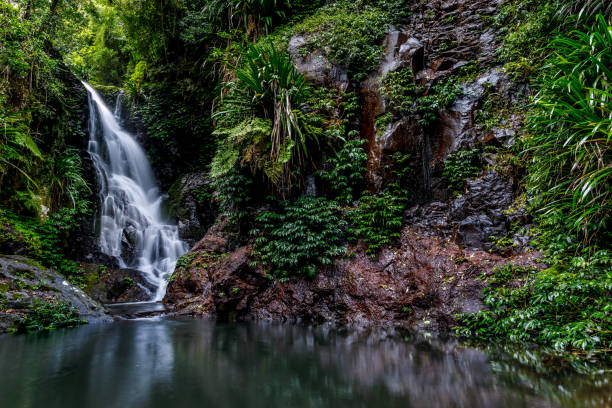 wodospad elabana - wodospad rainforest w parku narodowym lamington w australii - tropical rainforest waterfall rainforest australia zdjęcia i obrazy z banku zdjęć