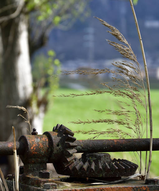 istock Bevel gear of an old and rust sluice 1142618351
