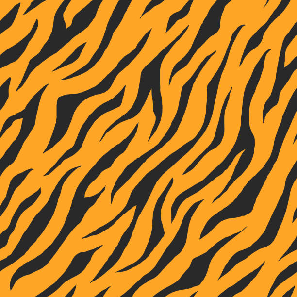 Vector of seamless animal print pattern Illustration of seamless animal print pattern texture background. Realistic stripe of tiger skin color. Vector tigers stock illustrations