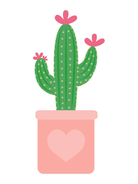 Cartoon Of A Pink Cactus Flower Illustrations, Royalty-Free Vector Graphics  & Clip Art - iStock