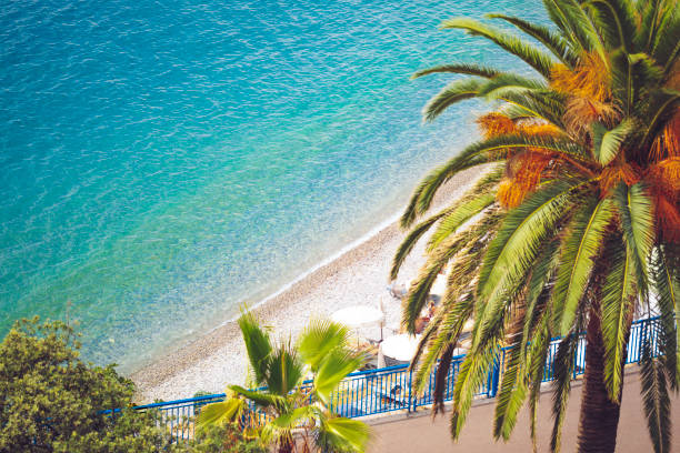 Lado del mar con palmeras - foto de stock