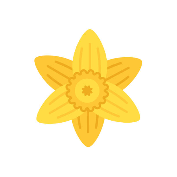 ilustraciones, imágenes clip art, dibujos animados e iconos de stock de icono de flor linda en diseño plano-daffodil - daffodil