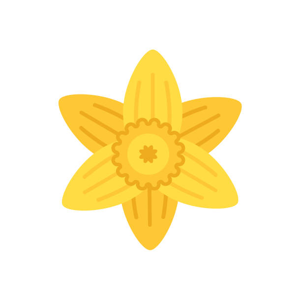 urocza ikona kwiatu w płaskim designie - żonkila - daffodil stock illustrations
